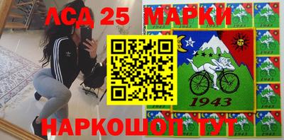 гашик Шебекино
