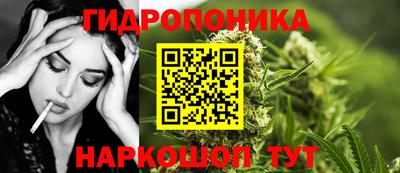 гашик Шебекино