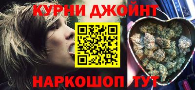 гидра Шелехов