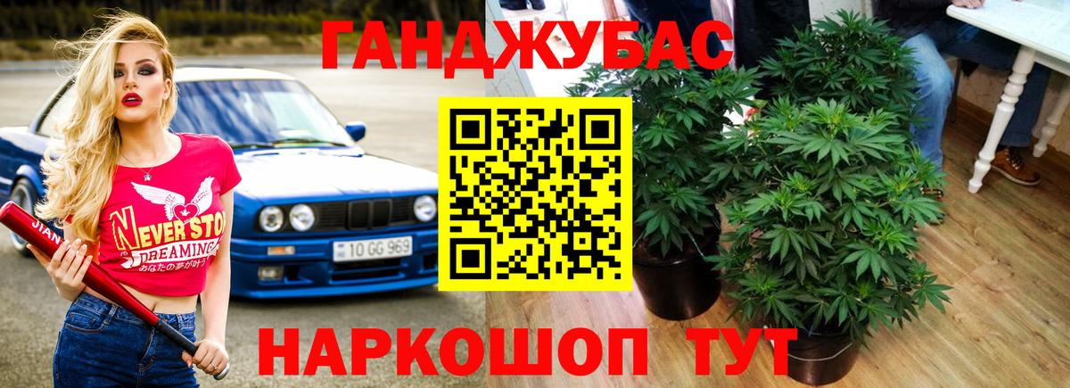 Марихуана план  МАРИХУАНА планчик  Вязники  Вход с VPN  МАРИХУАНА OG Kush  Бошки Шишки Amnesia 